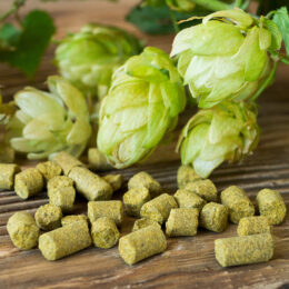 Fresh hops and hop pellets